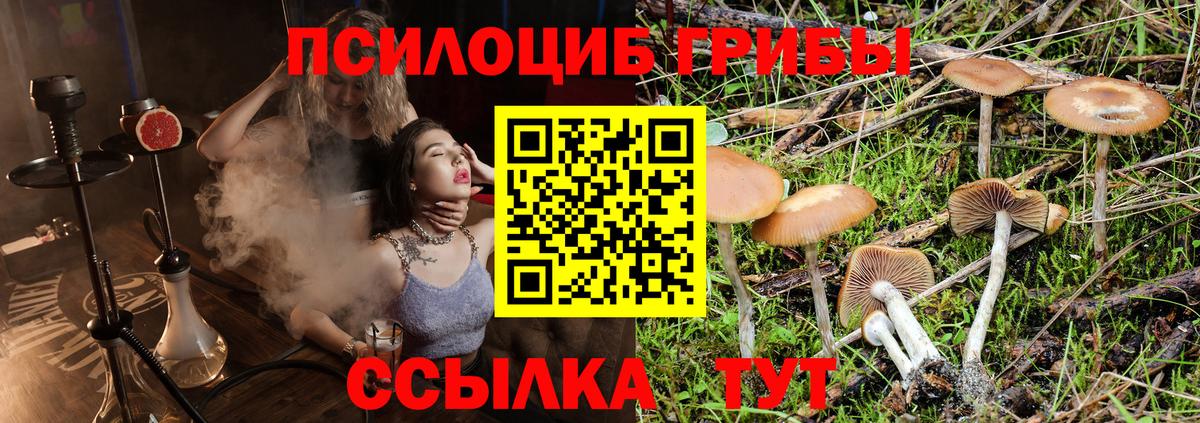 Псилоцибиновые грибы Magic Shrooms  Вход с VPN  Армавир 