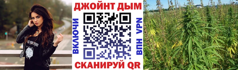 Канабис White Widow  как найти наркотики  kraken зеркало  Армавир 